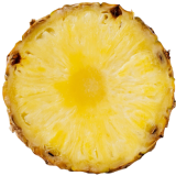Pineapple slice illustration